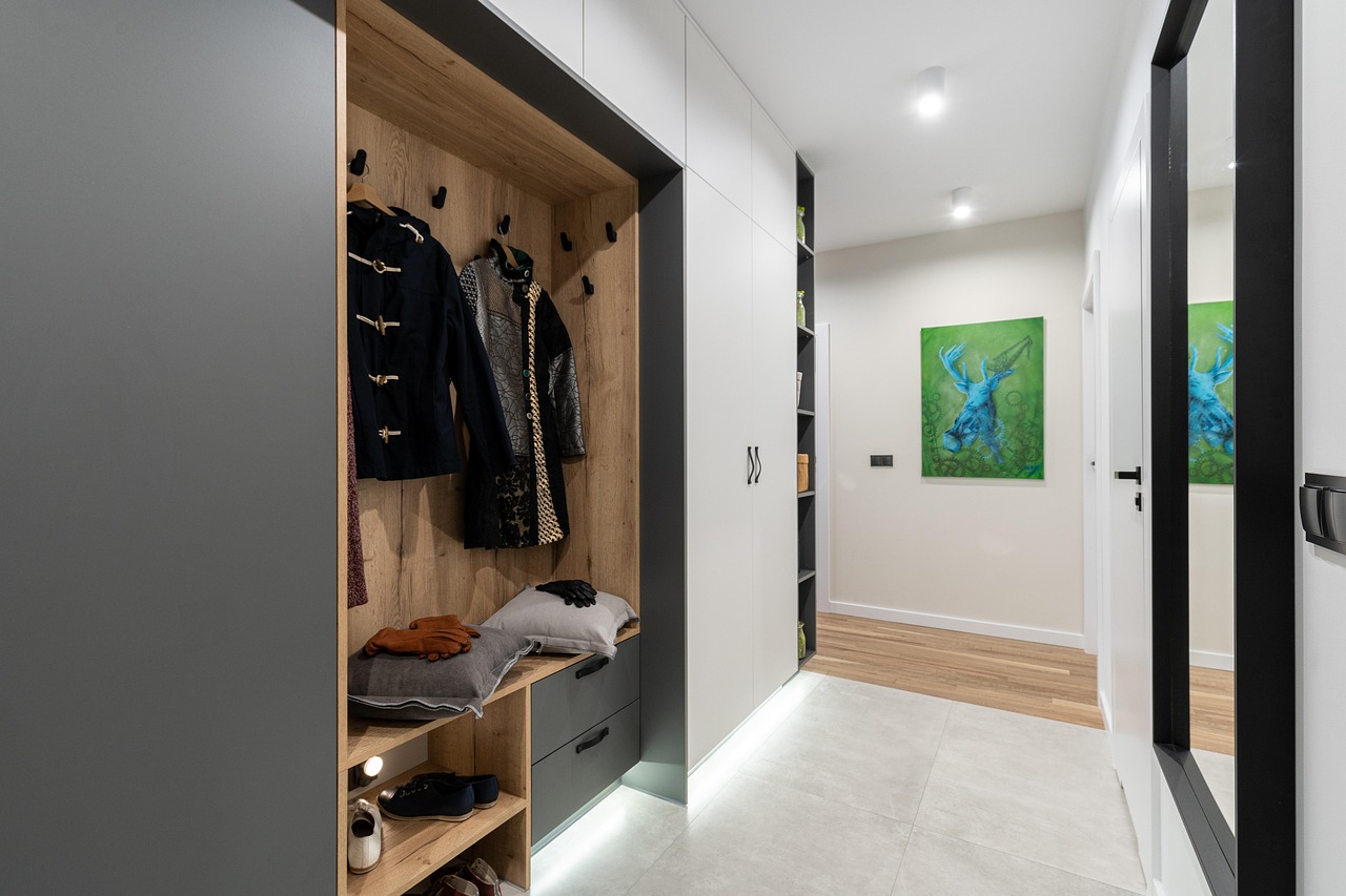 wardrobe, mirror, corridor, clothes, closet, clothing, walk in, walk in closet, interior design, interior decoration, wa